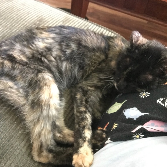 MzPamPosh - Picture 6 of 8